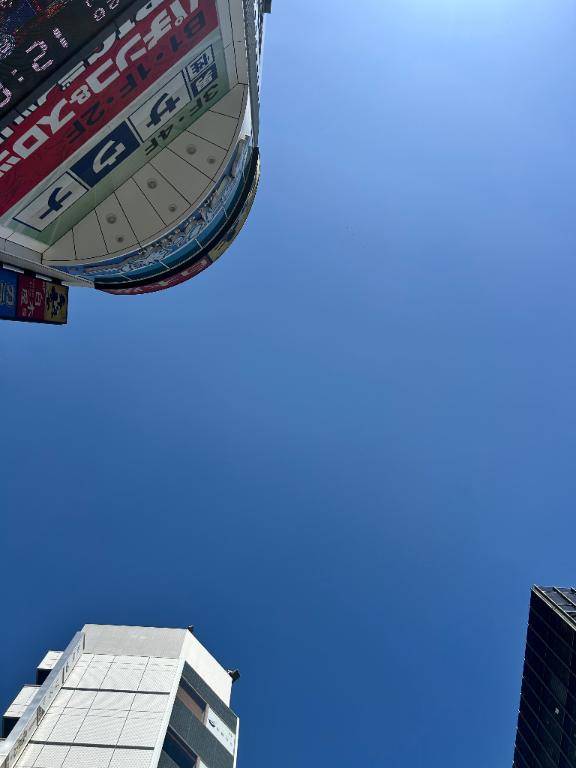 世良いろはpicture